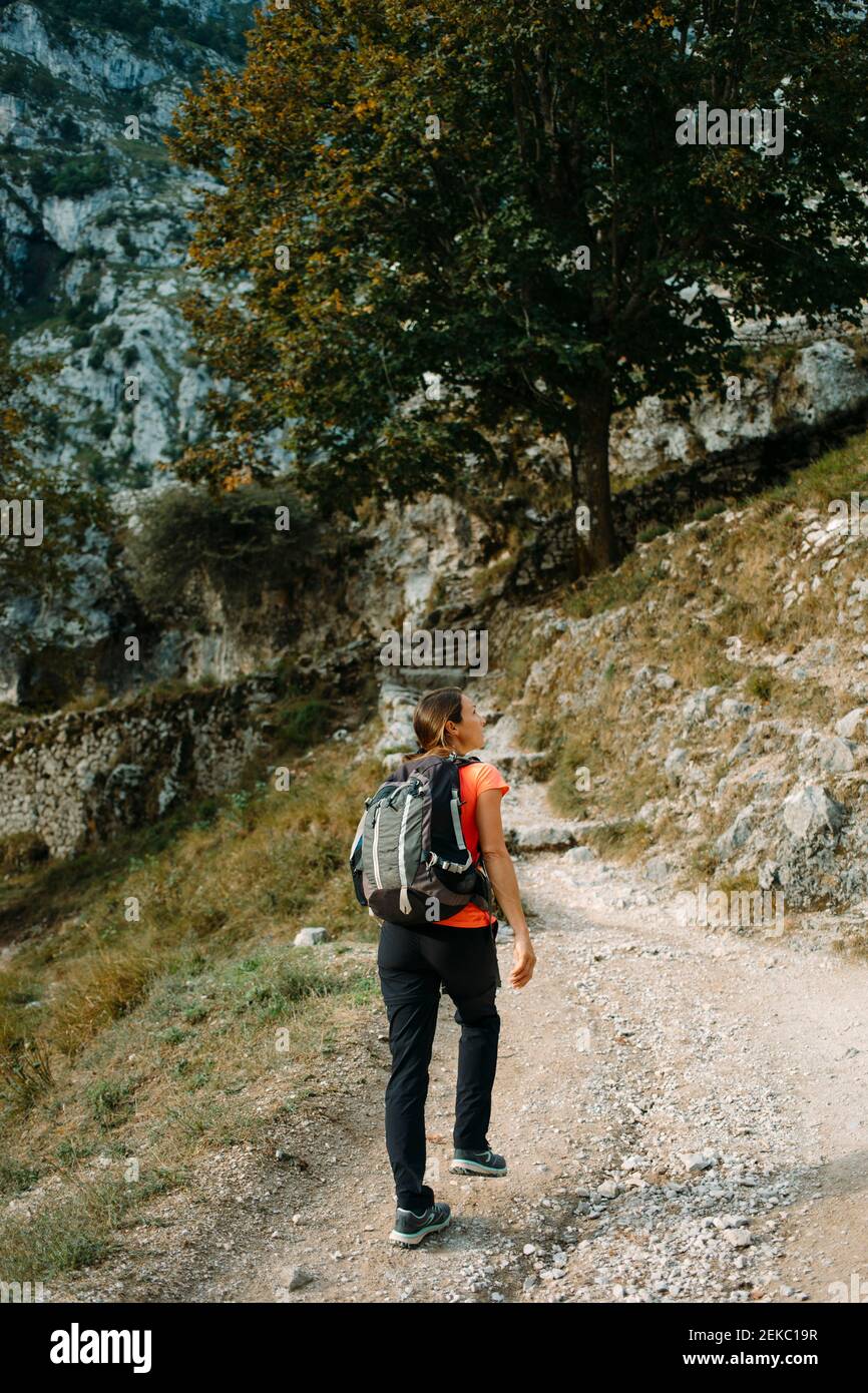Escursionista con zaino che si affaccia mentre si cammina sul Cares Trail al Parco Nazionale Picos De Europe, Asturias, Spagna Foto Stock