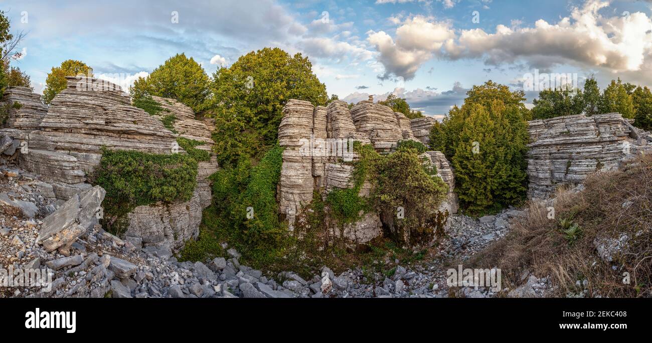 Grecia, Epiro, Zagori, Monti Pindos, Parco Nazionale Vikos, Foresta di pietra - formazione di roccia Foto Stock