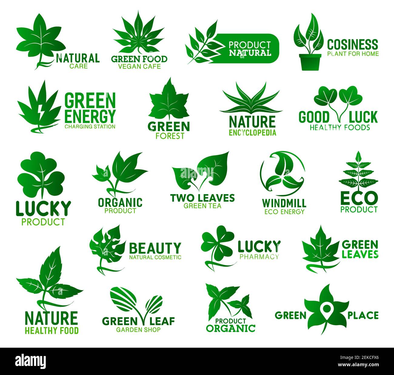 Icone vettoriali a foglia verde di ecologia, natura, salute e prodotti biologici. Foglie fresche di piante ecologiche e biologiche, rami di alberi e germogli di fiori di betulla Illustrazione Vettoriale