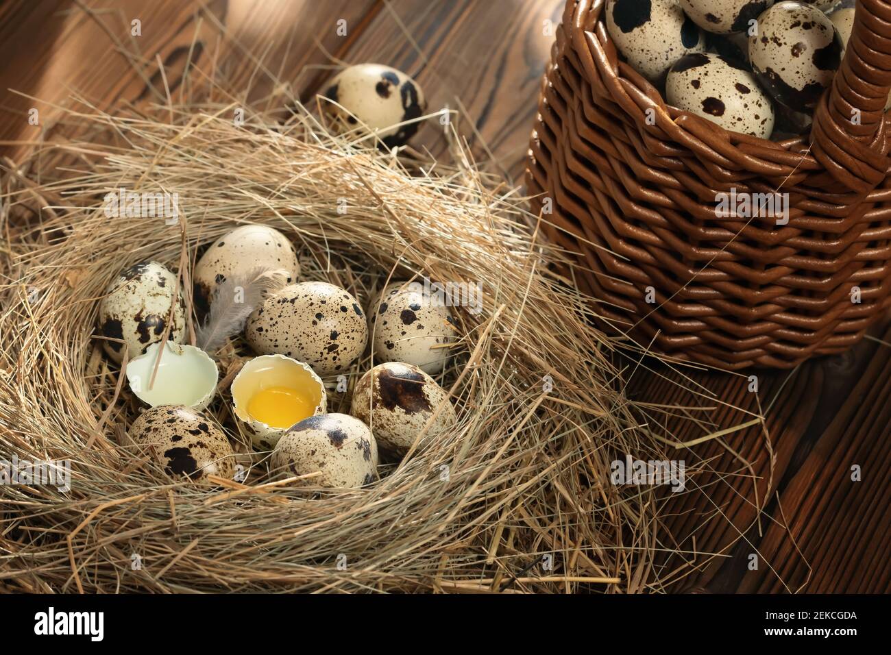 Diverse uova di quaglia in un nido decorativo di paglia e in un cestino su un tavolo di legno primo piano. Foto Stock