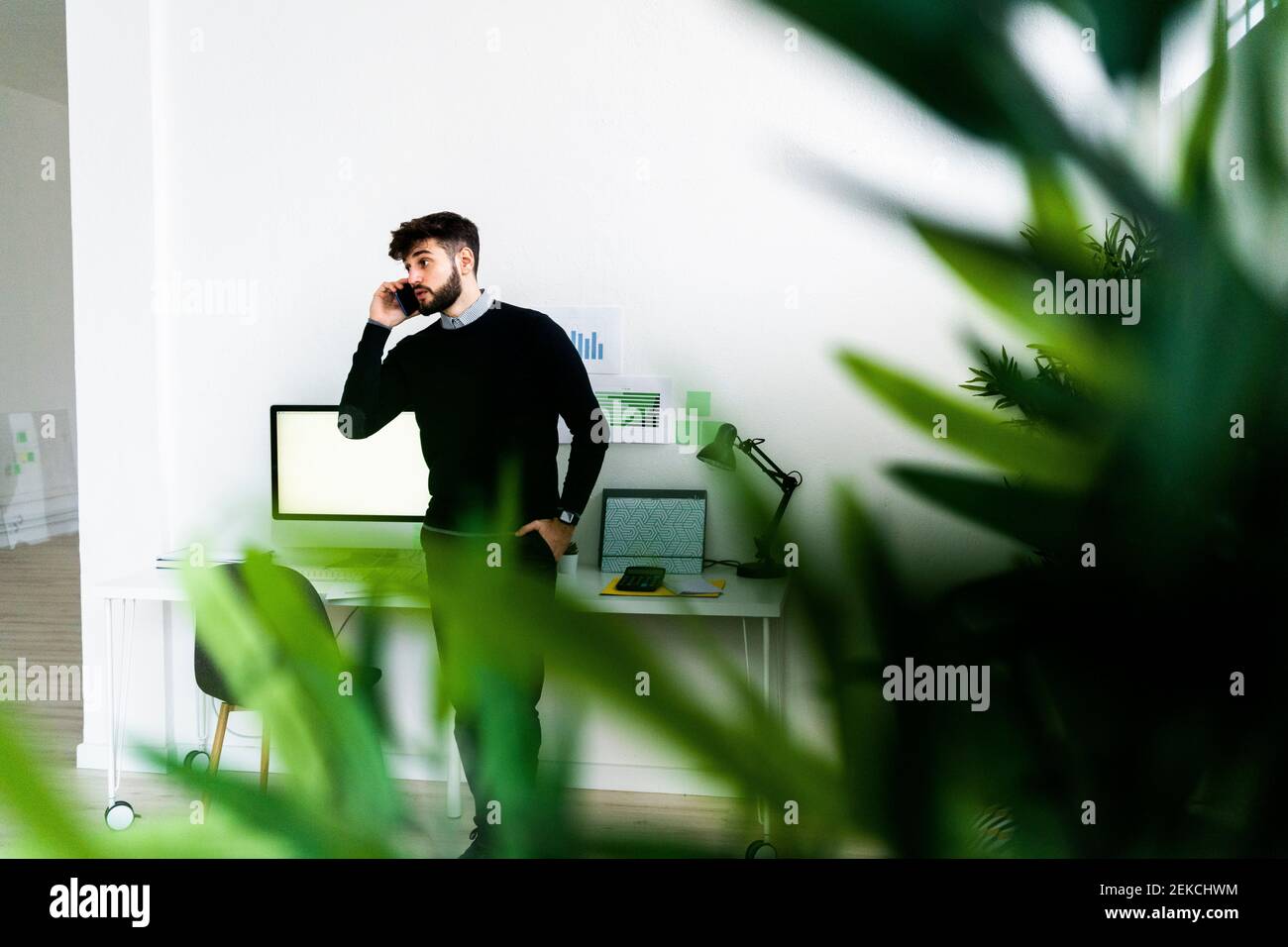 Uomo d'affari che parla su smartphone in ufficio, foglie verdi di pianta in primo piano Foto Stock