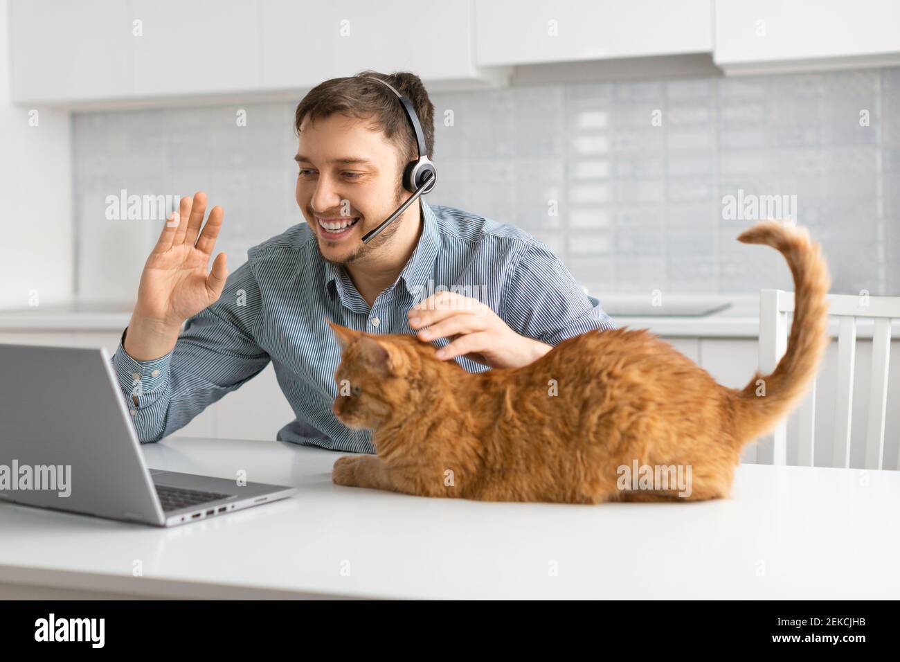 Un uomo che effettua una videochiamata online da casa. Si siede a un tavolo con un gatto e parla di un collegamento video davanti a un monitor laptop. Concetto di moderno t Foto Stock