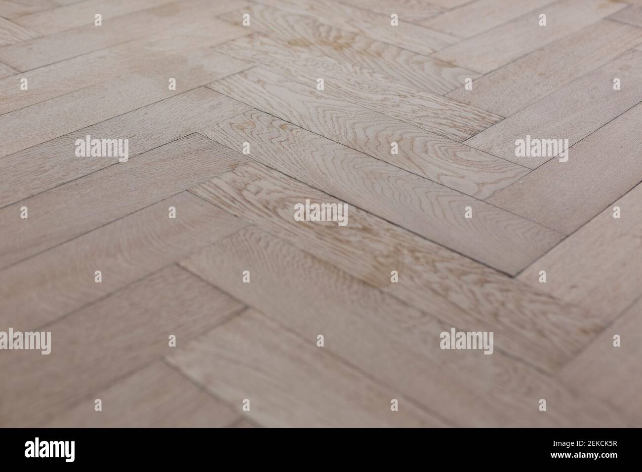 Foto full frame del pavimento in parquet herringbone a casa Foto Stock