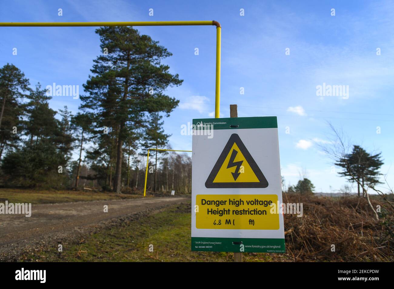 Linee elettriche telaio di protezione dall'alto per apparecchiature meccaniche che lavorano sul sito di sgombero della foresta e area di abbattimento degli alberi nella New Forest. Foto Stock