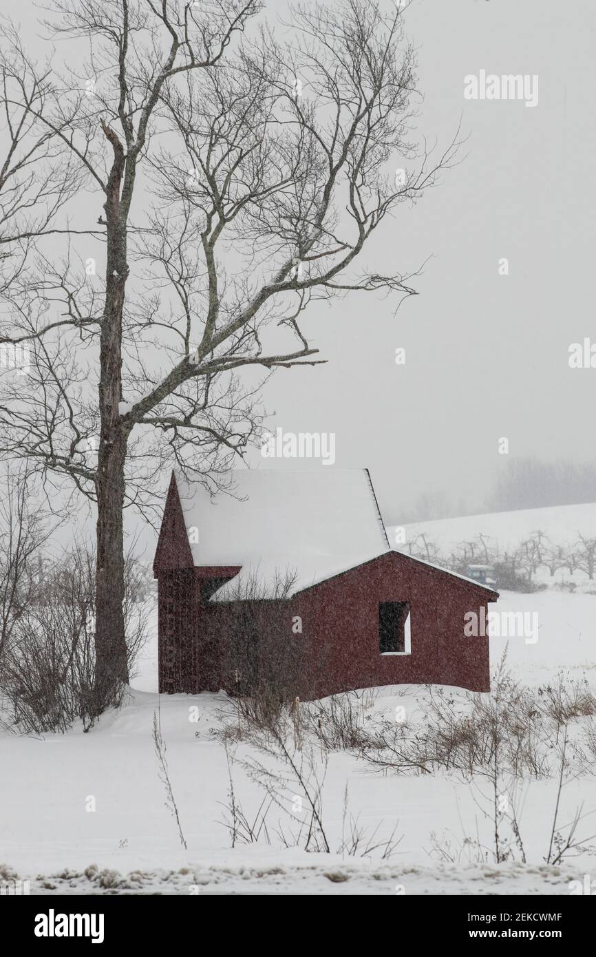 Prima della refrigerazione, gli uomini tagliavano grandi blocchi di ghiaccio dal lago Potanipo a Brookline NH e lo trasportavano alla casa di ghiaccio originale a Hollis, N. Foto Stock