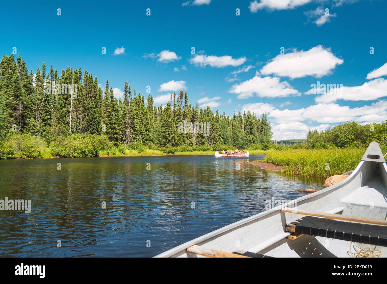 Canoa galleggiante sul lago in una foresta del Canada Foto Stock