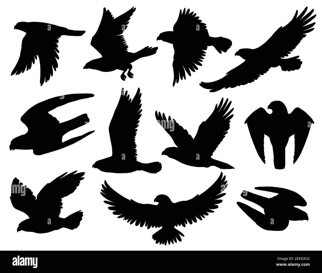 Silhouette nere di aquila, falco e falco con uccelli rapaci volanti e cacciatori. Animali araldici con ali spalmabili e artigli attaccanti, patri americani Illustrazione Vettoriale