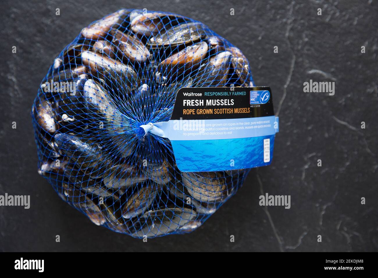 Cozze scozzesi grezze, non cotte, coltivate a corda, acquistate da un supermercato Waitrose. La Brexit del 31 2020 gennaio ha causato la rottura di alcuni dei molluschi del Regno Unito Foto Stock