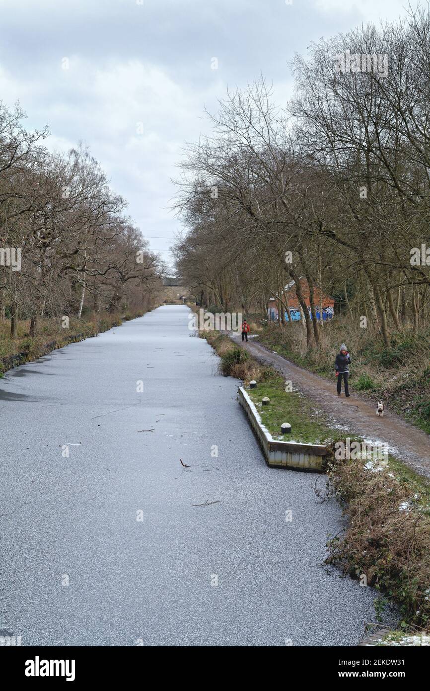 Un canale di Basingstoke ghiacciato e coperto a New Haw in un freddo giorno d'inverno New Haw, Woodham Surrey Inghilterra UK Foto Stock