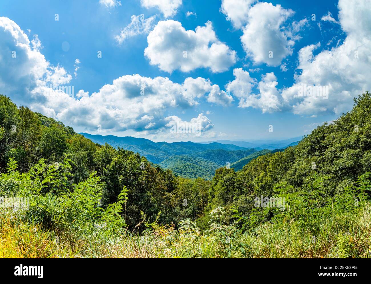 Paesaggio montano coperto di foresta visto da Blue Ridge Parkway nel North Carolina, Stati Uniti Foto Stock