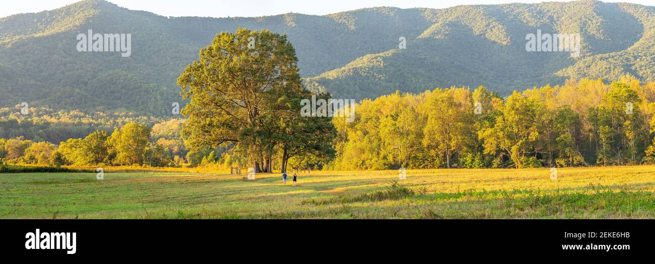 Paesaggio rurale estivo, Cades Cove, Great Smoky Mountains National Park, Tennessee, USA Foto Stock