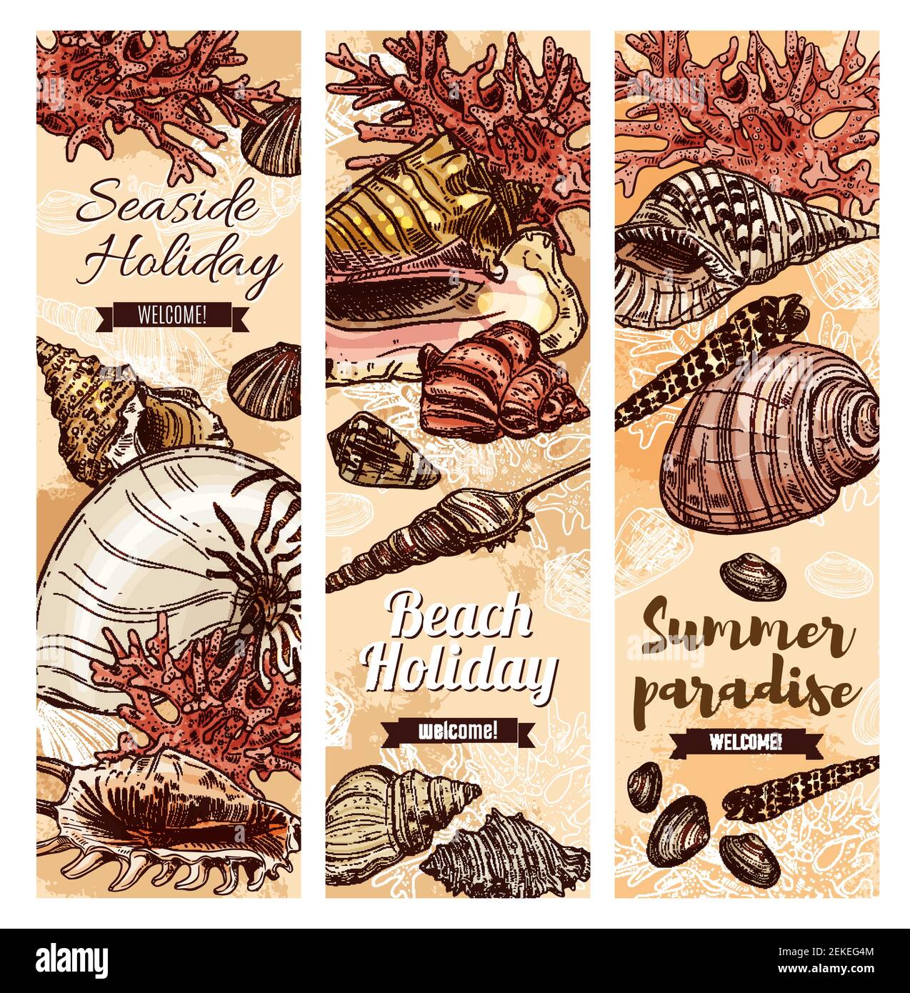 Bandiere di schizzi di conchiglie, vacanze estive e viaggi in mare. Vettore benvenuto in estate paradiso nastri, conchiglie e coralli sulla spiaggia di sabbia, mare vacanze Illustrazione Vettoriale