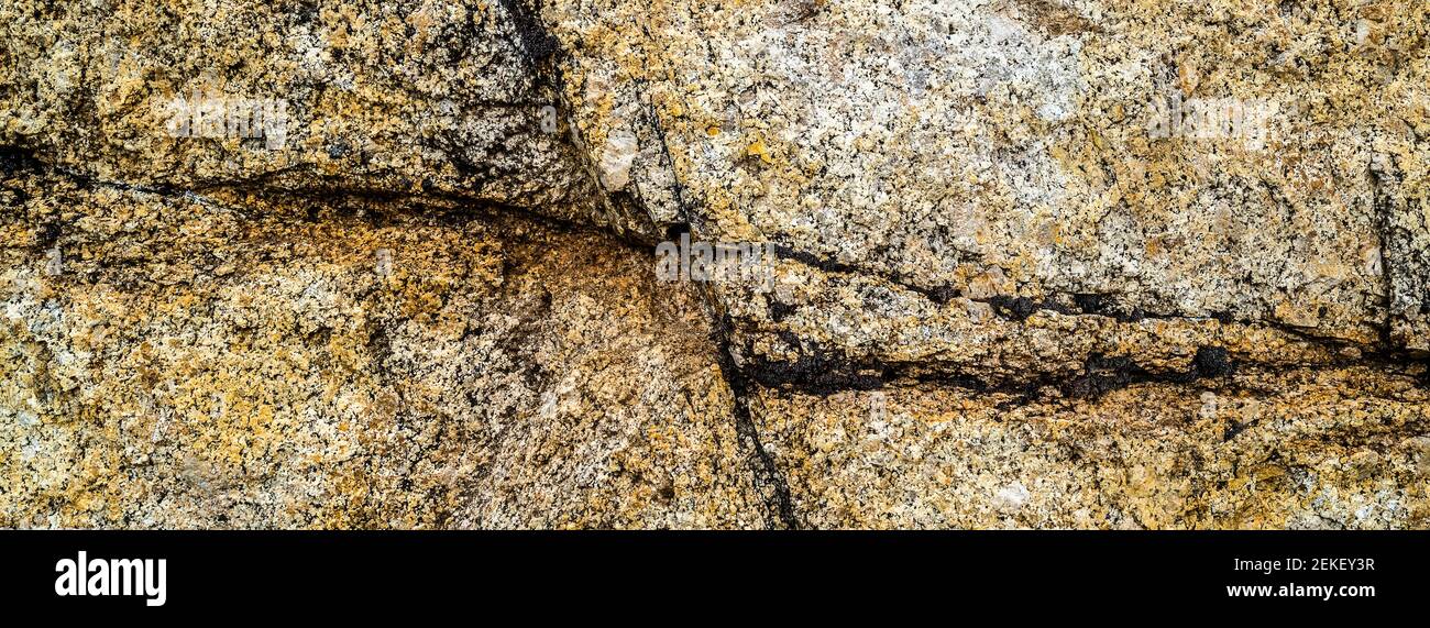 Lichene colorato sulla formazione rocciosa, Passo di sonora, Contea di Mono, California, Stati Uniti Foto Stock