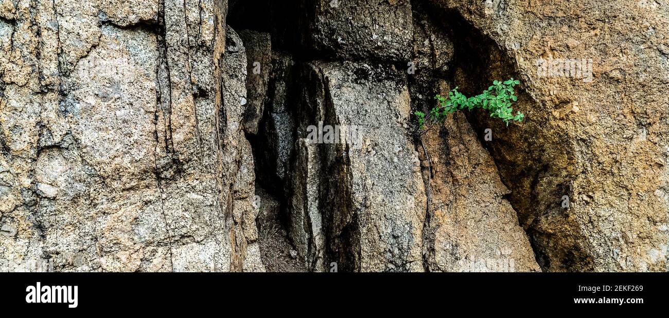 Passaggio nascosto tra le rocce, Passo sonora, Contea di Mono, California, Stati Uniti Foto Stock