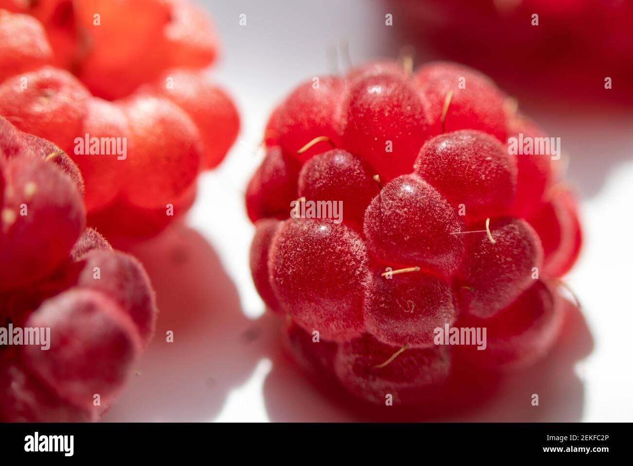 Primo piano. Primo piano di bacche di lamponi freschi e dolci rossi. . Foto macro. Foto Stock