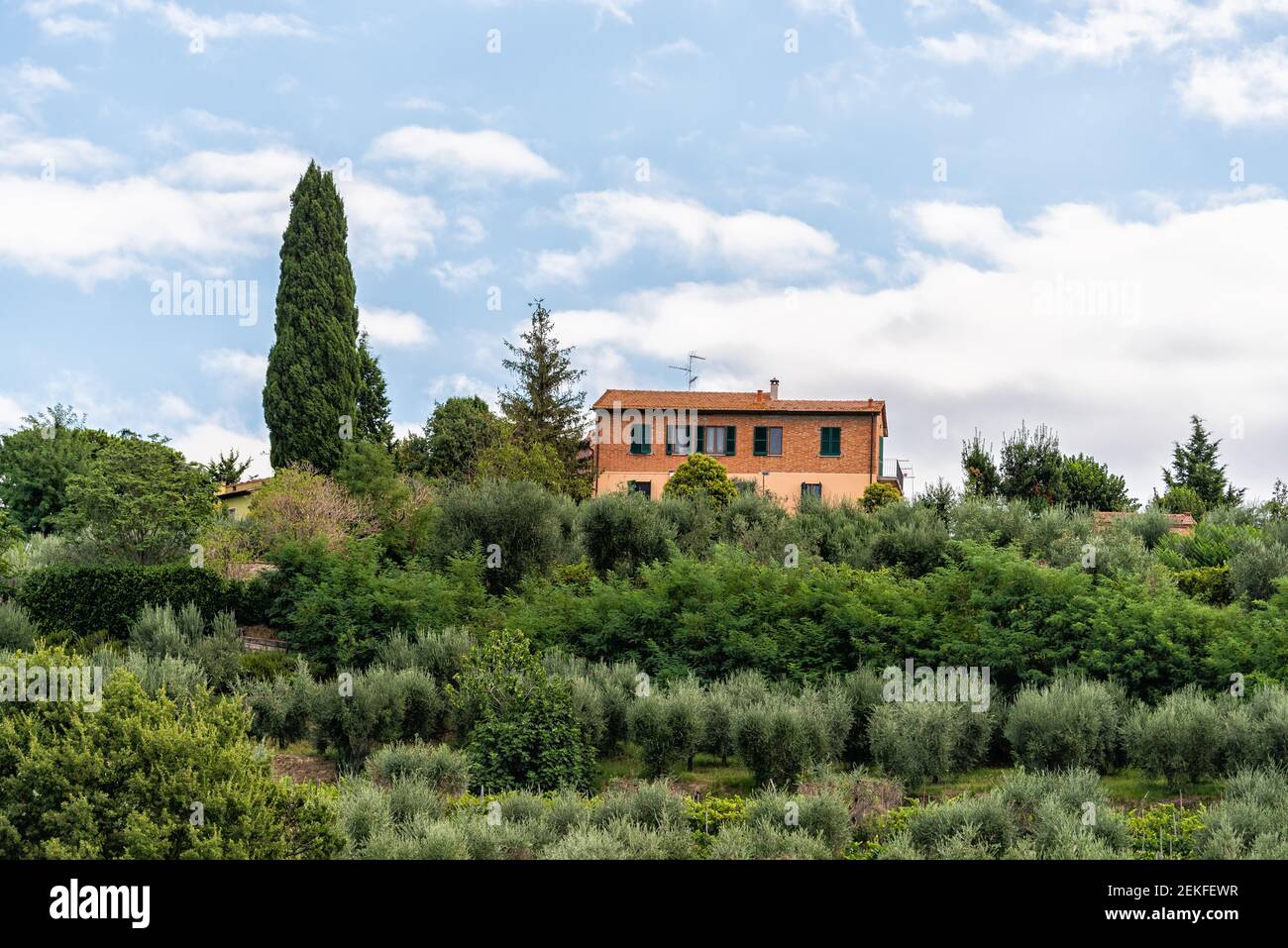 Umbria o Toscana, Italia paesaggio con cipressi e villa collinare con verde oliveto giardino in paese durante l'estate e cielo blu Foto Stock