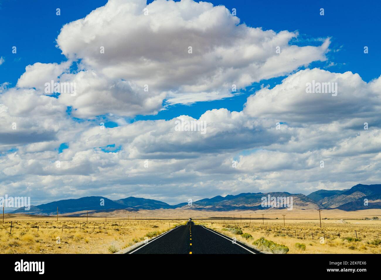 Road through Desert, Great Basin National Park, Nevada, USA Foto Stock