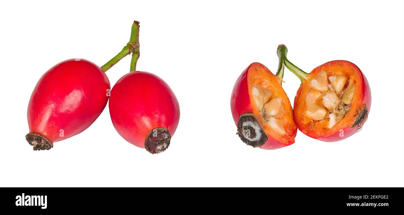 Porcini sani con polpa rossa e semi in nucleo isolati su sfondo bianco. Rosa canina. Primo piano di una metà e di due interi frutti di rosa hips maturi. Foto Stock