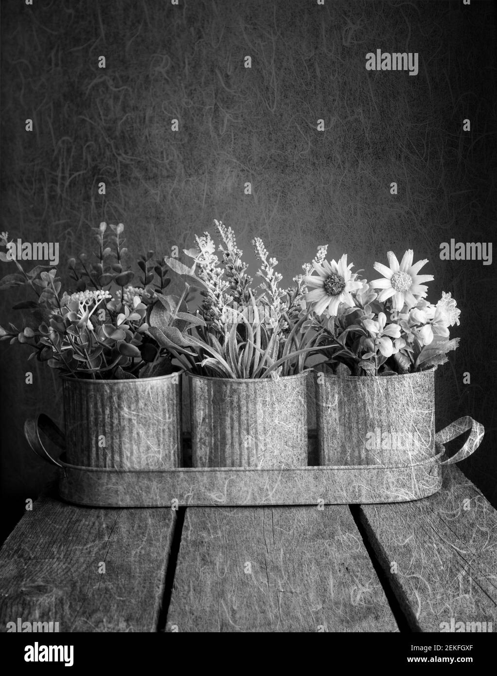 Foto di vita scattata nello studio di casa dipingere con la luce. Foto Stock