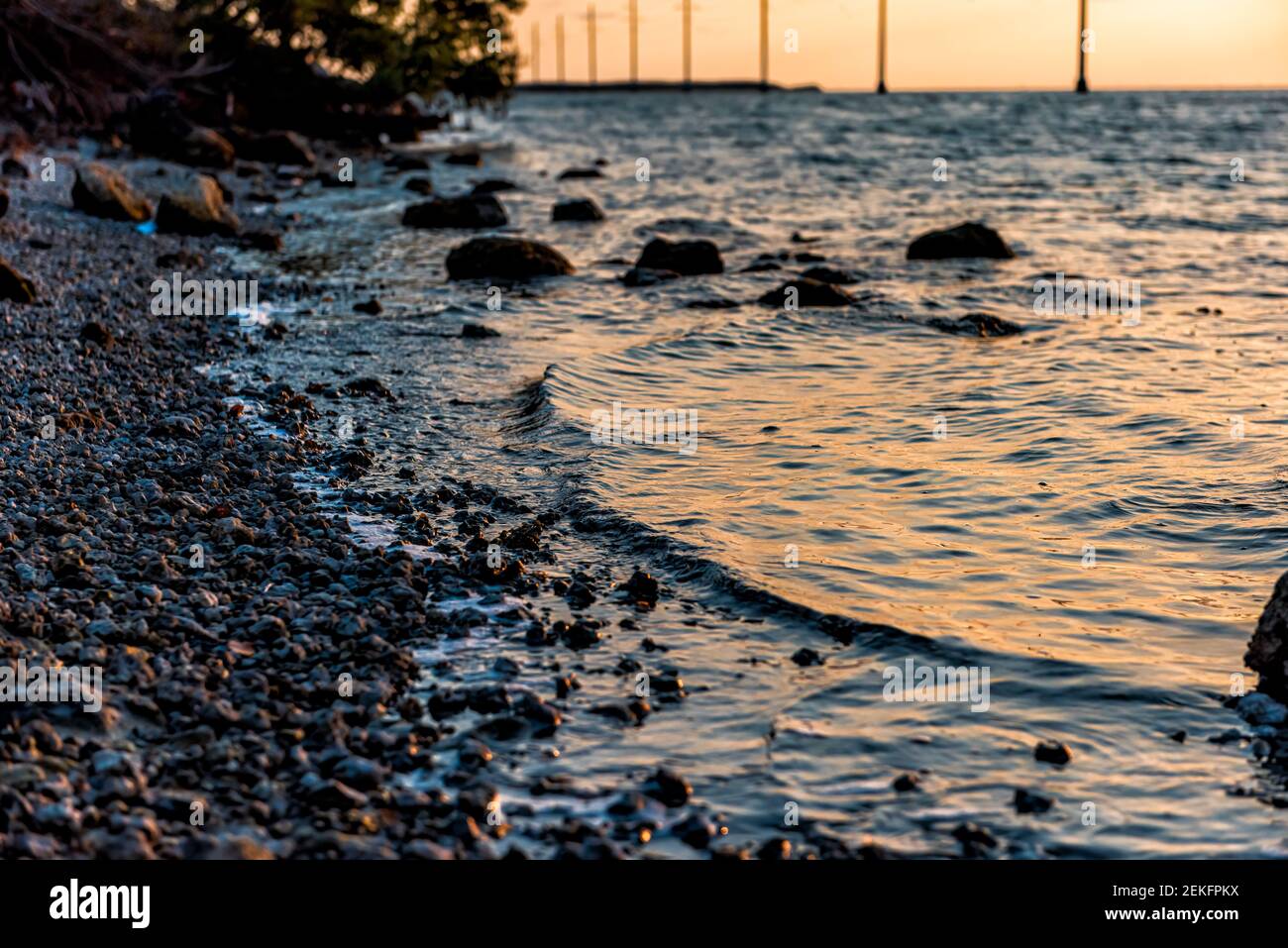 Tramonto a Islamorada, Florida Keys, con cielo rosa e rocce rocciose spiaggia da linee elettriche in acque poco profonde sul golfo del Messico o Atlantici Foto Stock