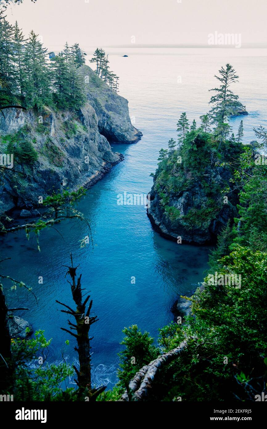 Litorale di mare blu, Samuel H. Boardman state Park, Brookings, Oregon, Stati Uniti Foto Stock