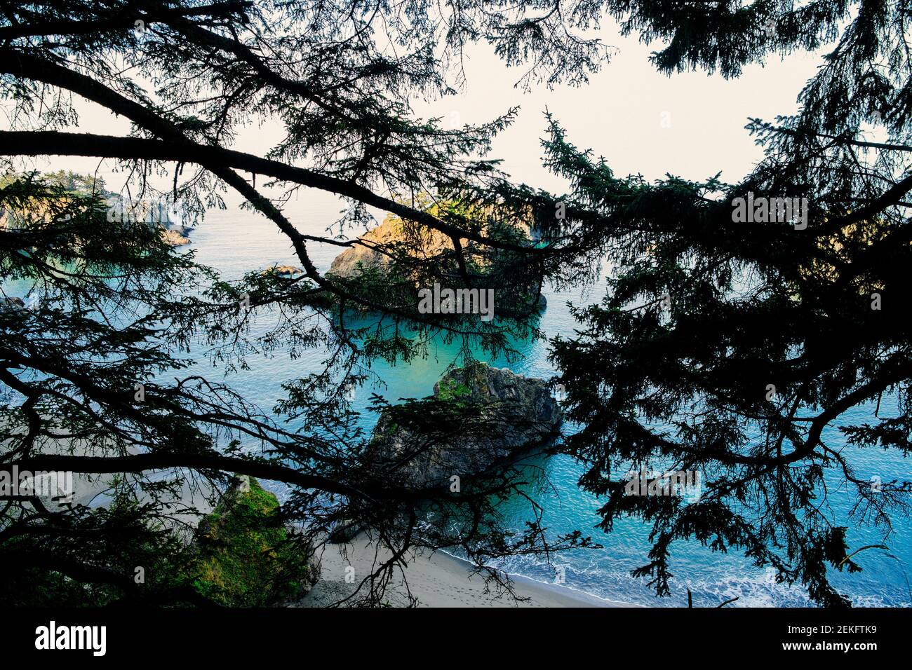 Costa del mare al tramonto, Samuel H. Boardman state Park, Brookings, Oregon, Stati Uniti Foto Stock