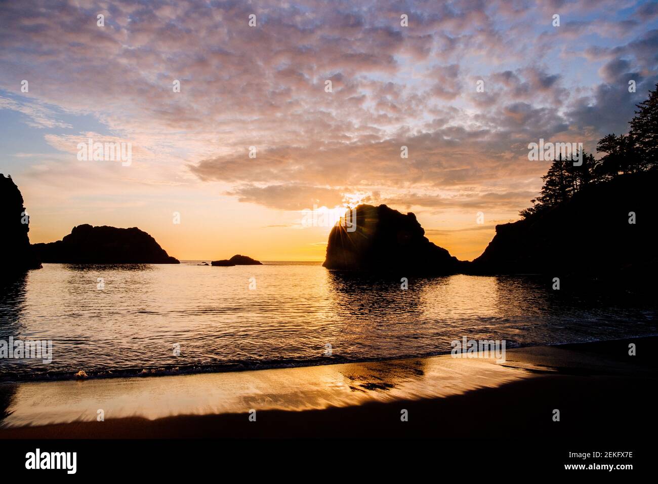 Costa del mare al tramonto, Samuel H. Boardman state Park, Brookings, Oregon, Stati Uniti Foto Stock