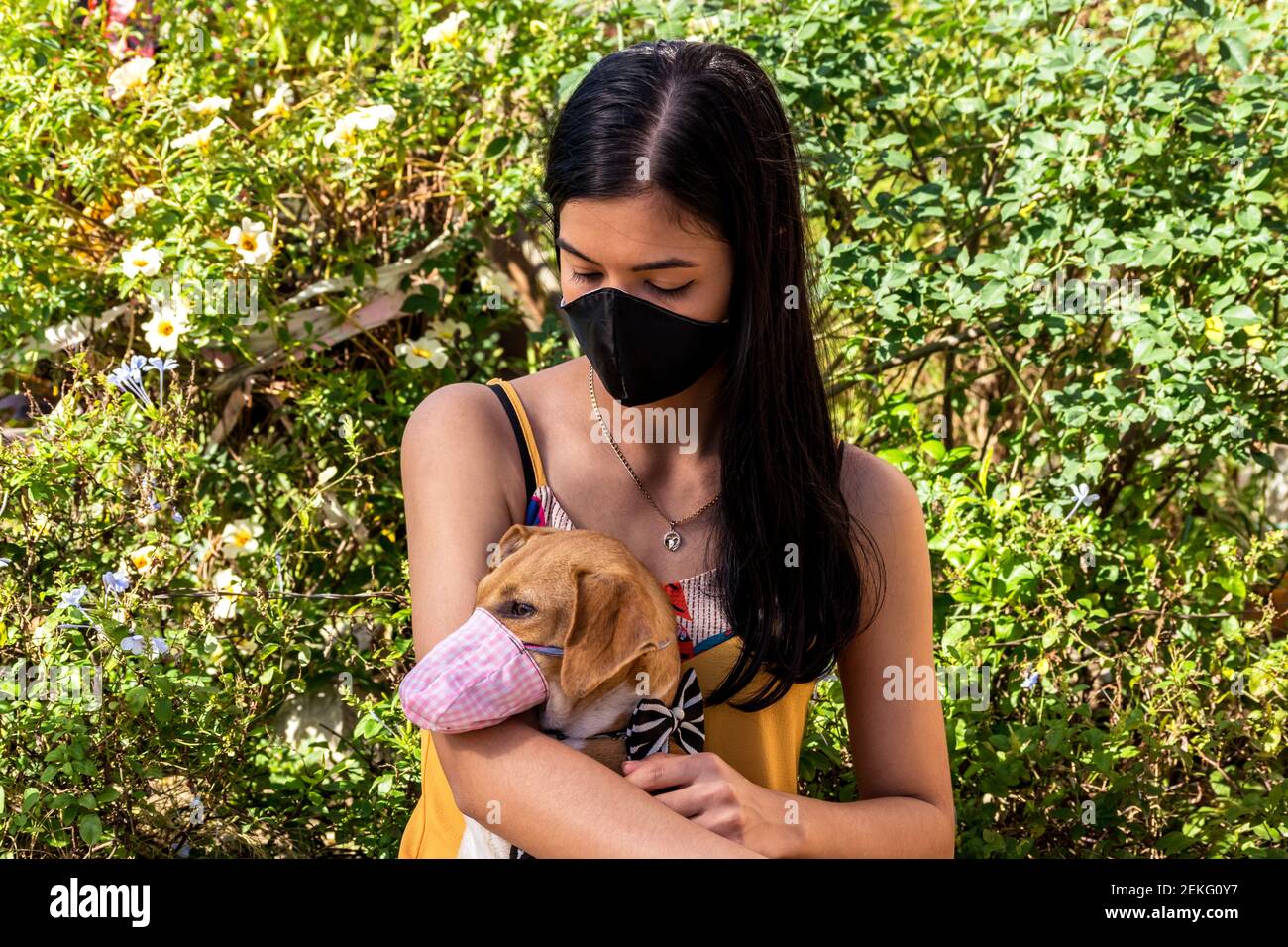 Giovane ragazza latina in un giardino cubano che guarda il suo cane da compagnia mentre la tiene in braccio, entrambi indossando maschere fatte in casa Foto Stock