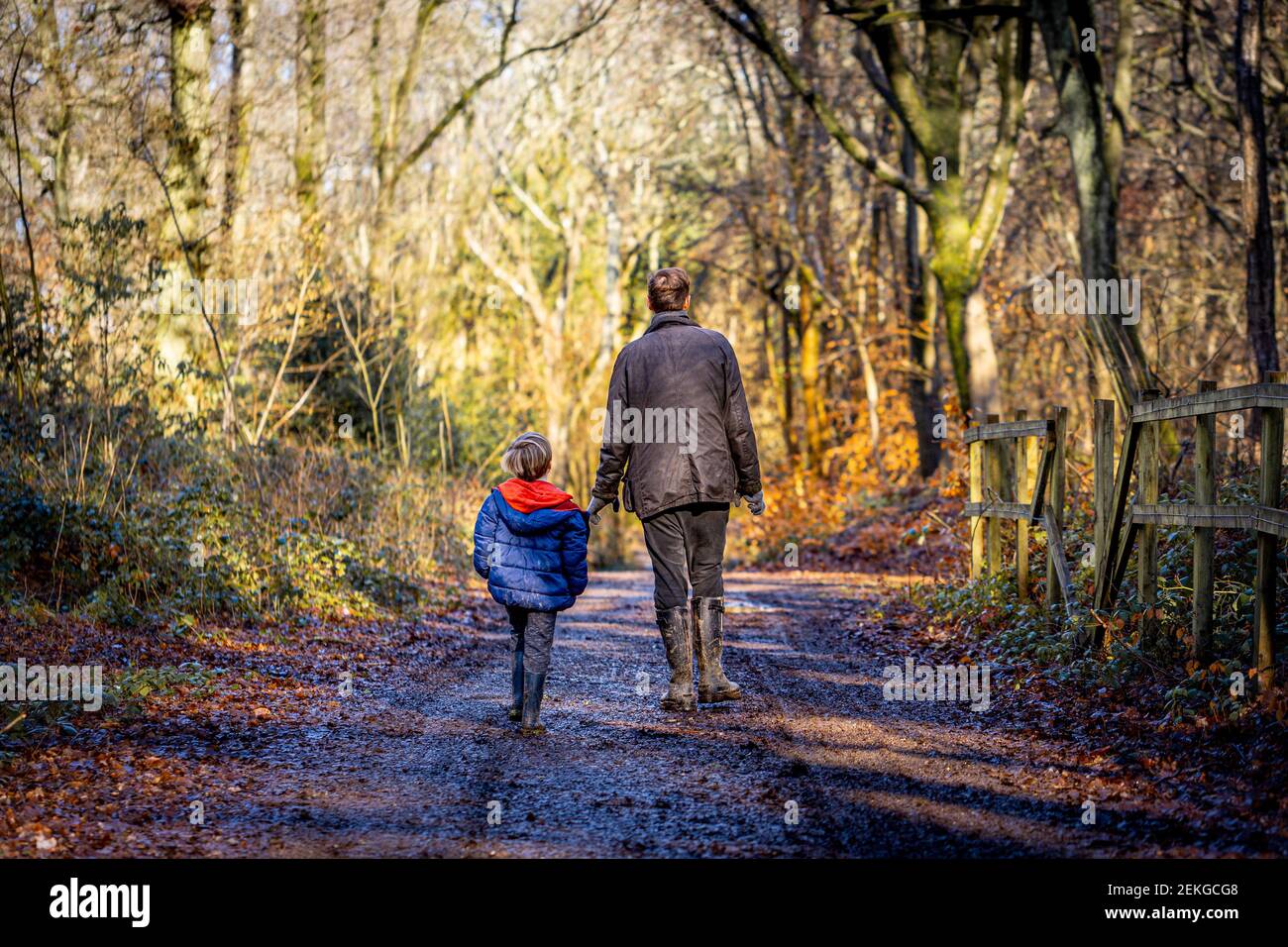 Padre e figlio in una passeggiata nei boschi in inverno - Oxfordshire, Regno Unito Foto Stock