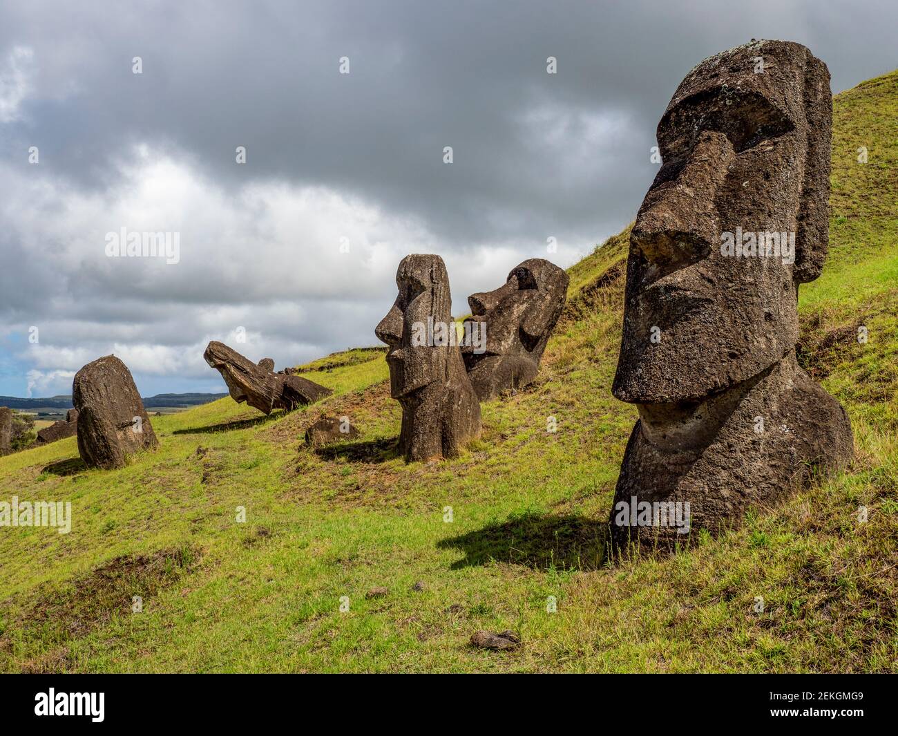 Statue di moai a Rano a Raraku, Isola di Pasqua, Polinesia Cilena Foto Stock