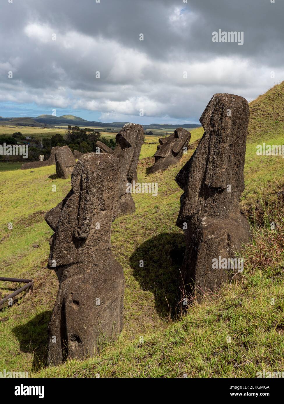 Statue di moai a Rano a Raraku, Isola di Pasqua, Polinesia Cilena Foto Stock