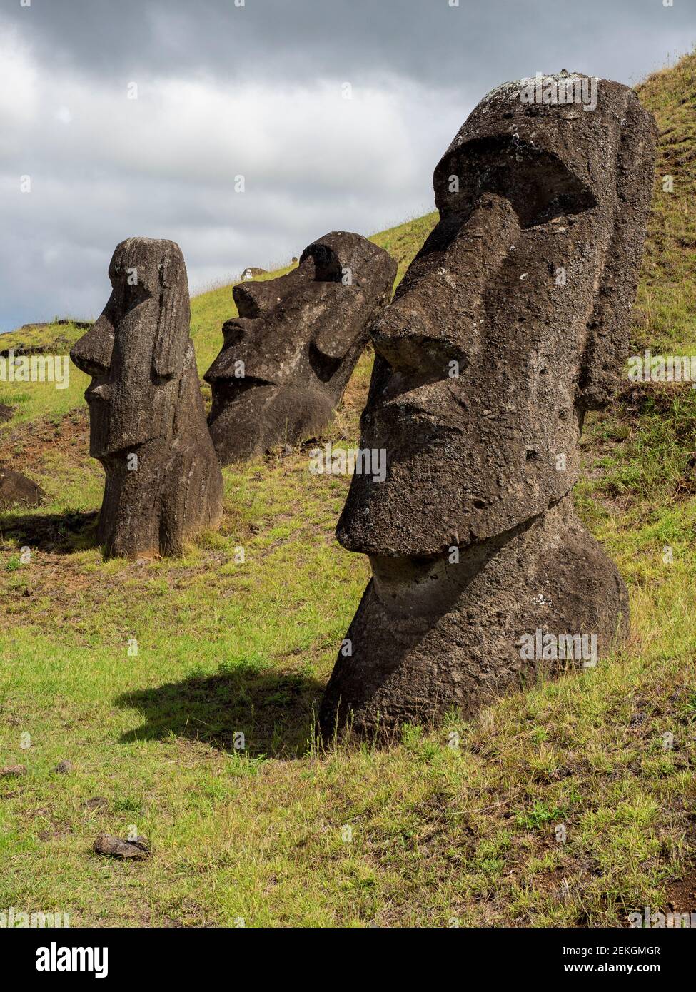 Statue di moai a Rano a Raraku, Isola di Pasqua, Polinesia Cilena Foto Stock