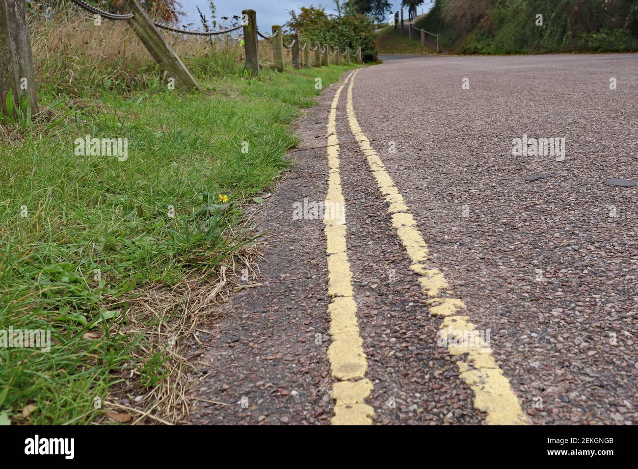 Primo piano di doppie linee gialle su una stretta corsia di campagna, il che significa che non è consentito parcheggiare Foto Stock