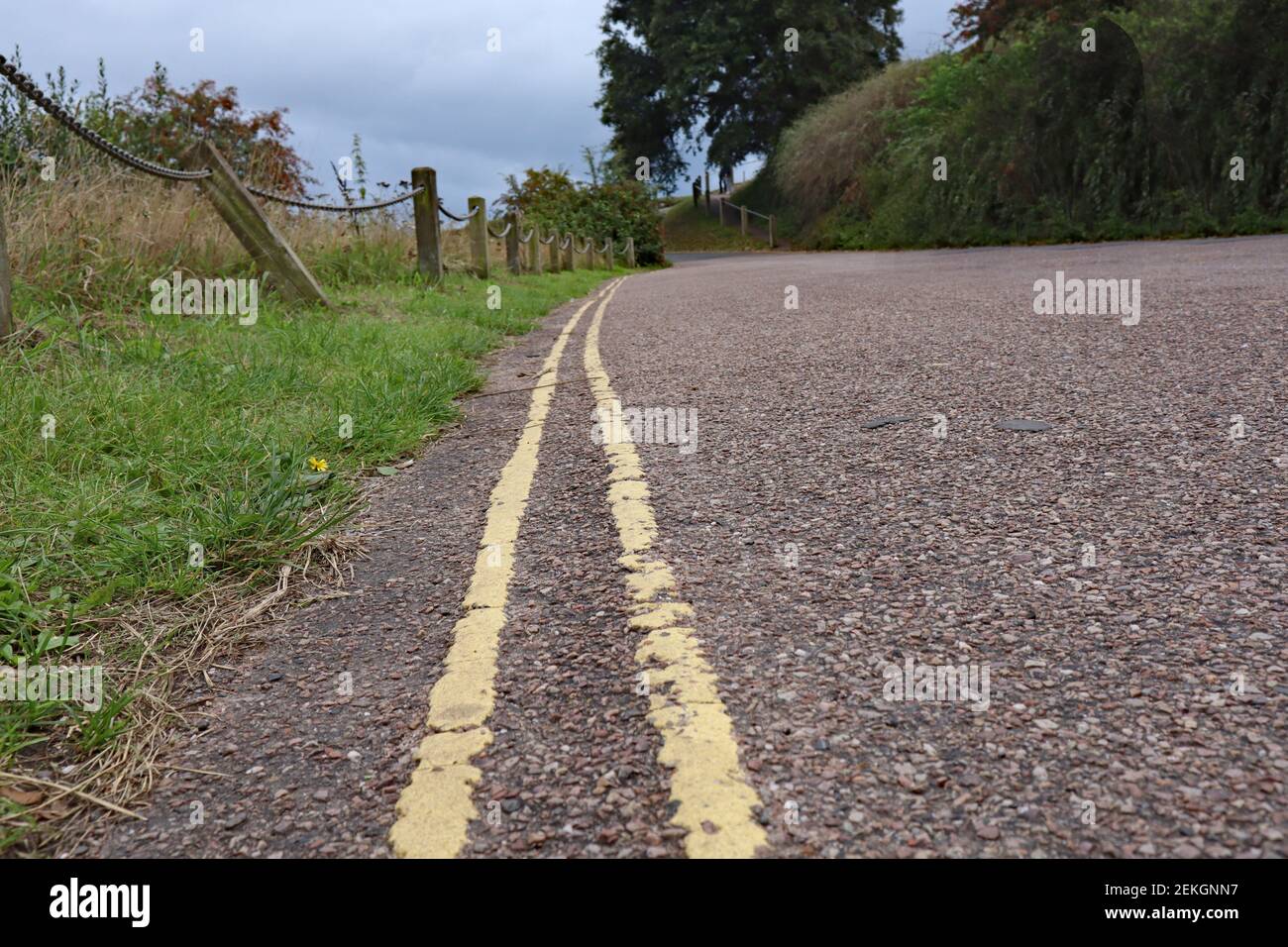 Primo piano di due linee gialle su una stretta corsia di campagna, il che significa che non è consentito parcheggiare Foto Stock