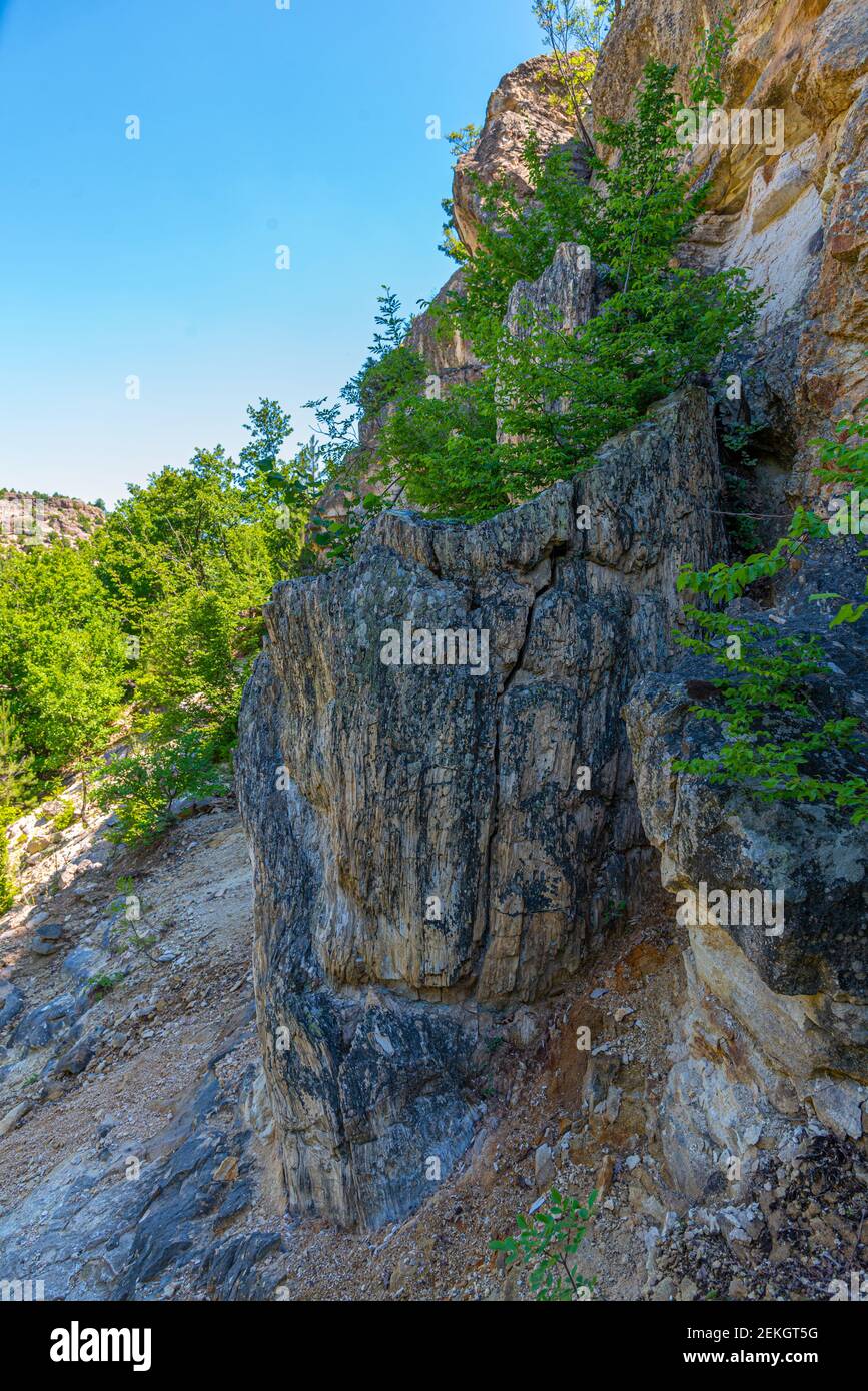 Foresta pietrificata sulle montagne di Rhodopes in Bulgaria Foto Stock