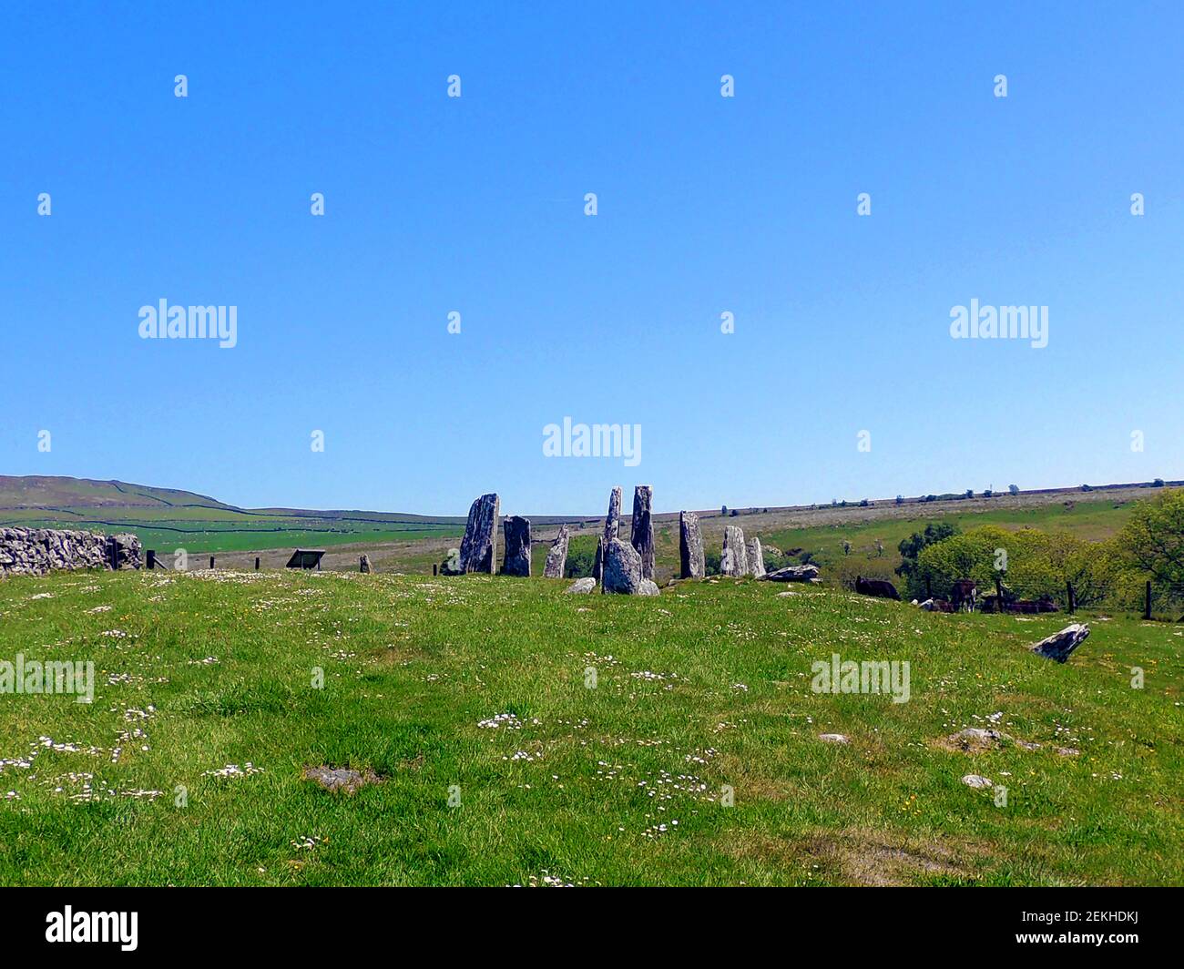 Il cerchio di pietra in piedi a Cairn Holy / Cairnholy è uno dei 2 siti (Cairn Holy 1 & 2) in piedi molto vicino l'uno all'altro. Questo mostra Cairn Holy 1. Le due tombe a chambered neolitiche sono del tipo 'Clyde' e si trovano appena fuori la strada A75 vicino al villaggio di Carsluith, Dumfries e Galloway, l'ingresso a entrambi è gratuito, ma sono nella cura della Scozia storica. Si affacciano sulla Baia di Wigtown e sul Mare d'Irlanda. In Gaelico il nome Càrn na h-ulaidhe significa ‘cairn della tomba di pietra. La leggenda narra che la seconda vicina cairns segna il luogo di sepoltura di re Corbred, Corbredus o Calgacus Galtus Foto Stock