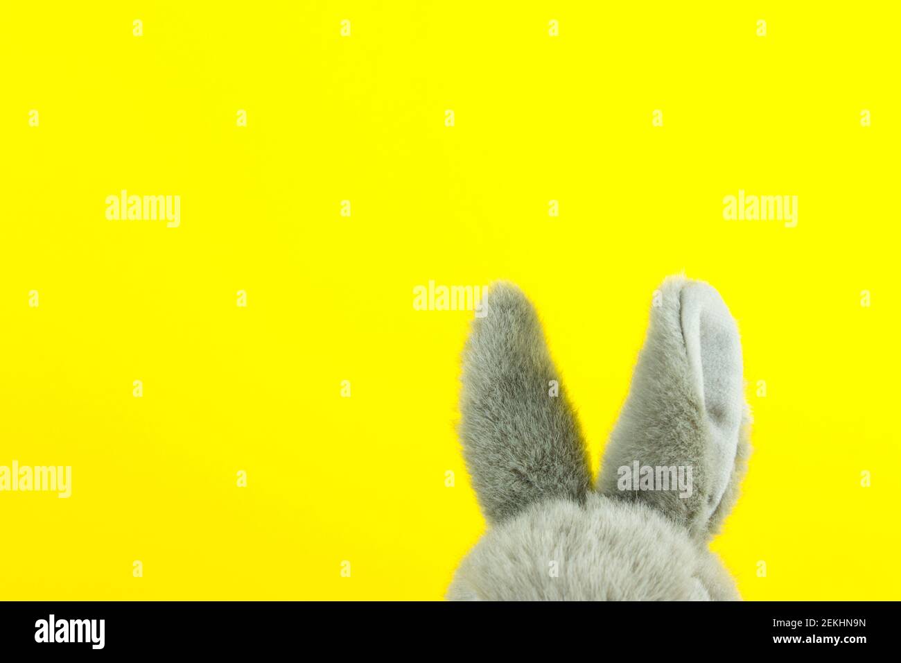 Spighe del coniglio del giocattolo grigio. Le orecchie di coniglio carino sul giallo. Sfondo di Pasqua Foto Stock