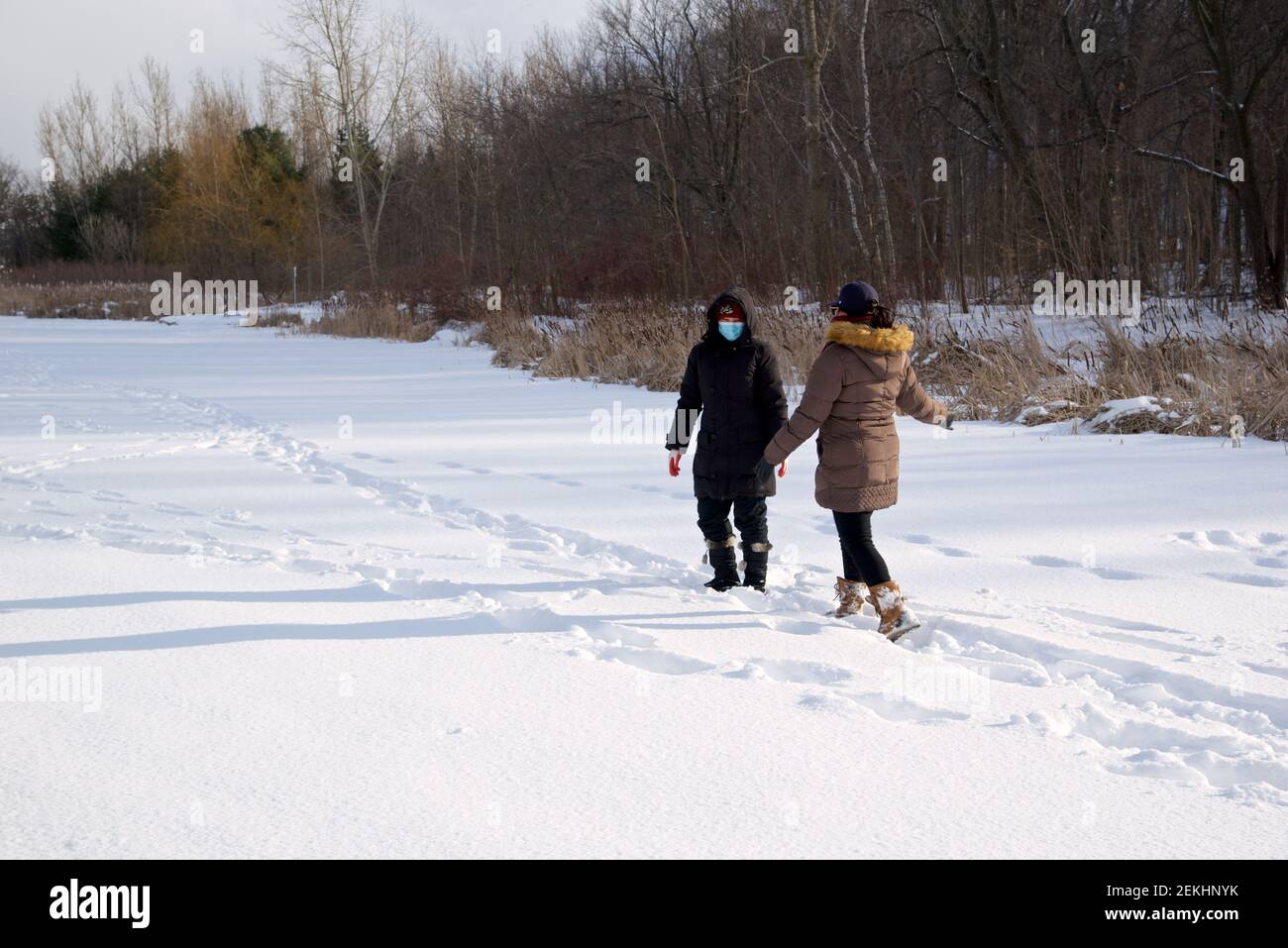 Toronto, Ontario / Canada - 02-14-2021: Donne che camminano con una maschera facciale nel lago ghiacciato in inverno. Covid-19, inverno, fuori, stile di vita sano. Foto Stock