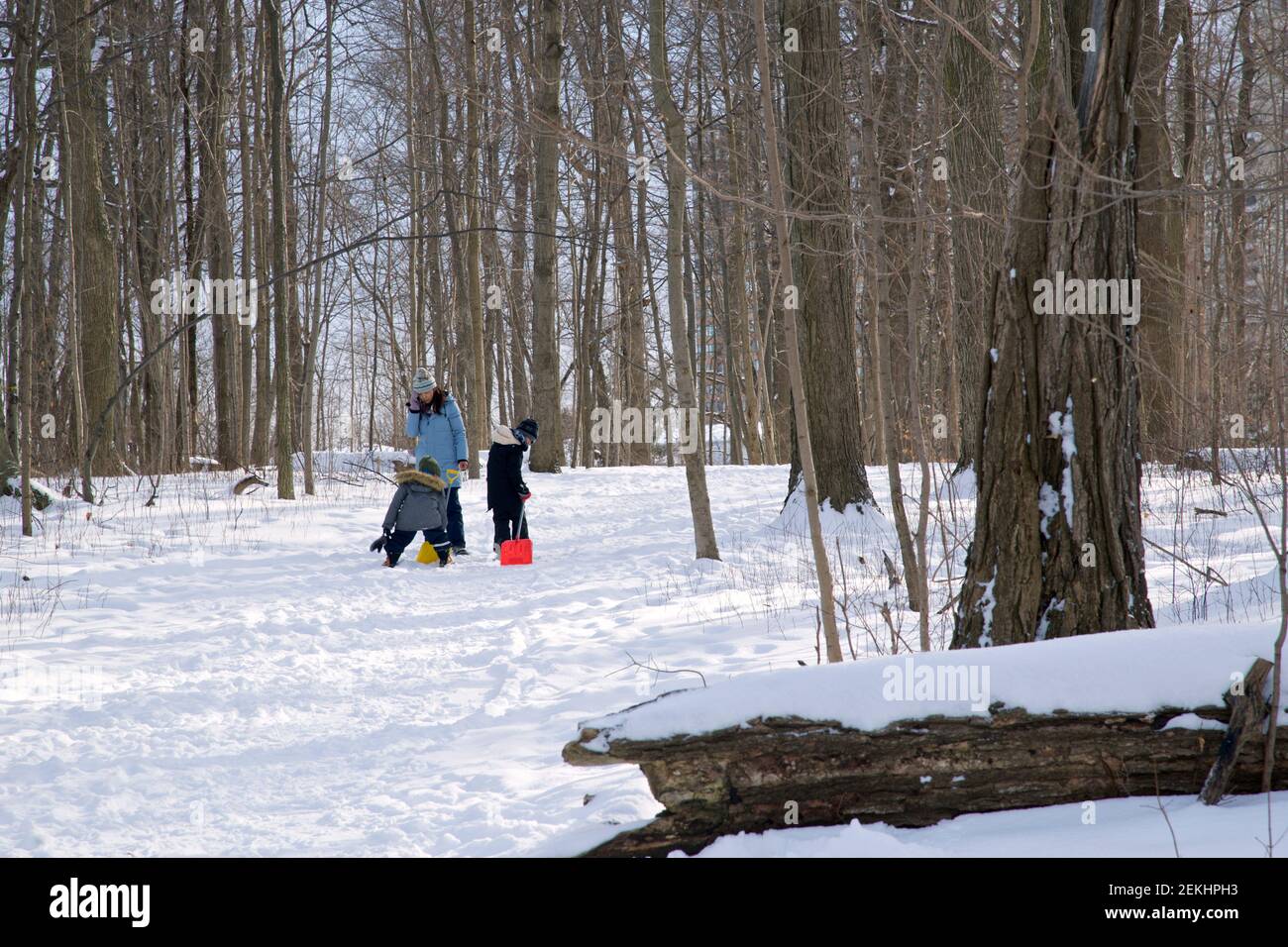 Famiglia a piedi con la maschera viso nella foresta in inverno. Covid-19, inverno, fuori, stile di vita sano. Foto Stock