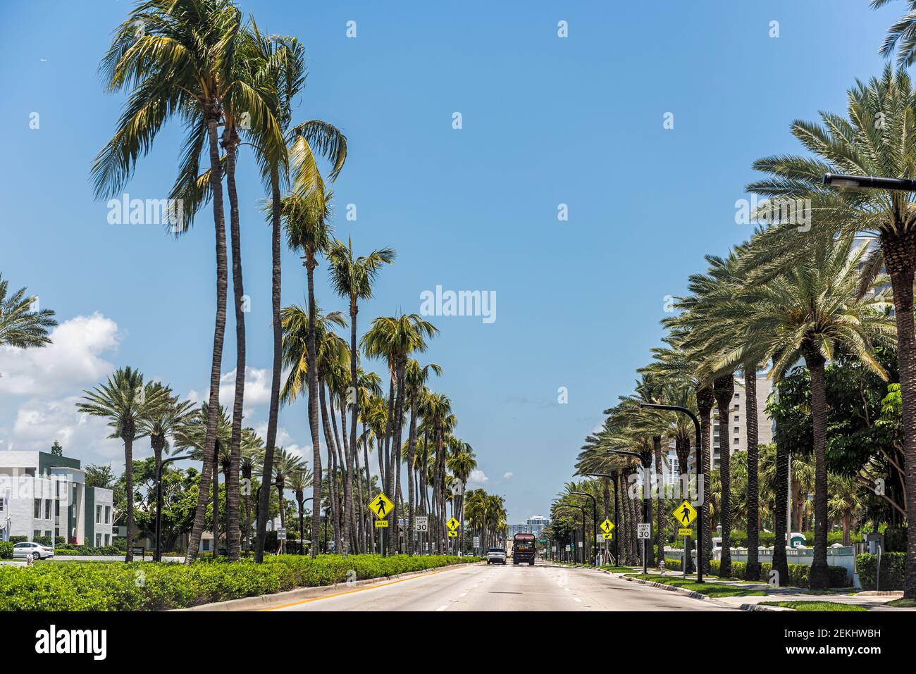 Bal Harbour, USA - 8 maggio 2018: File di palme lungo la strada laterale nel lussuoso e ricco quartiere di Miami, Florida, con auto da traffico sulla strada Foto Stock