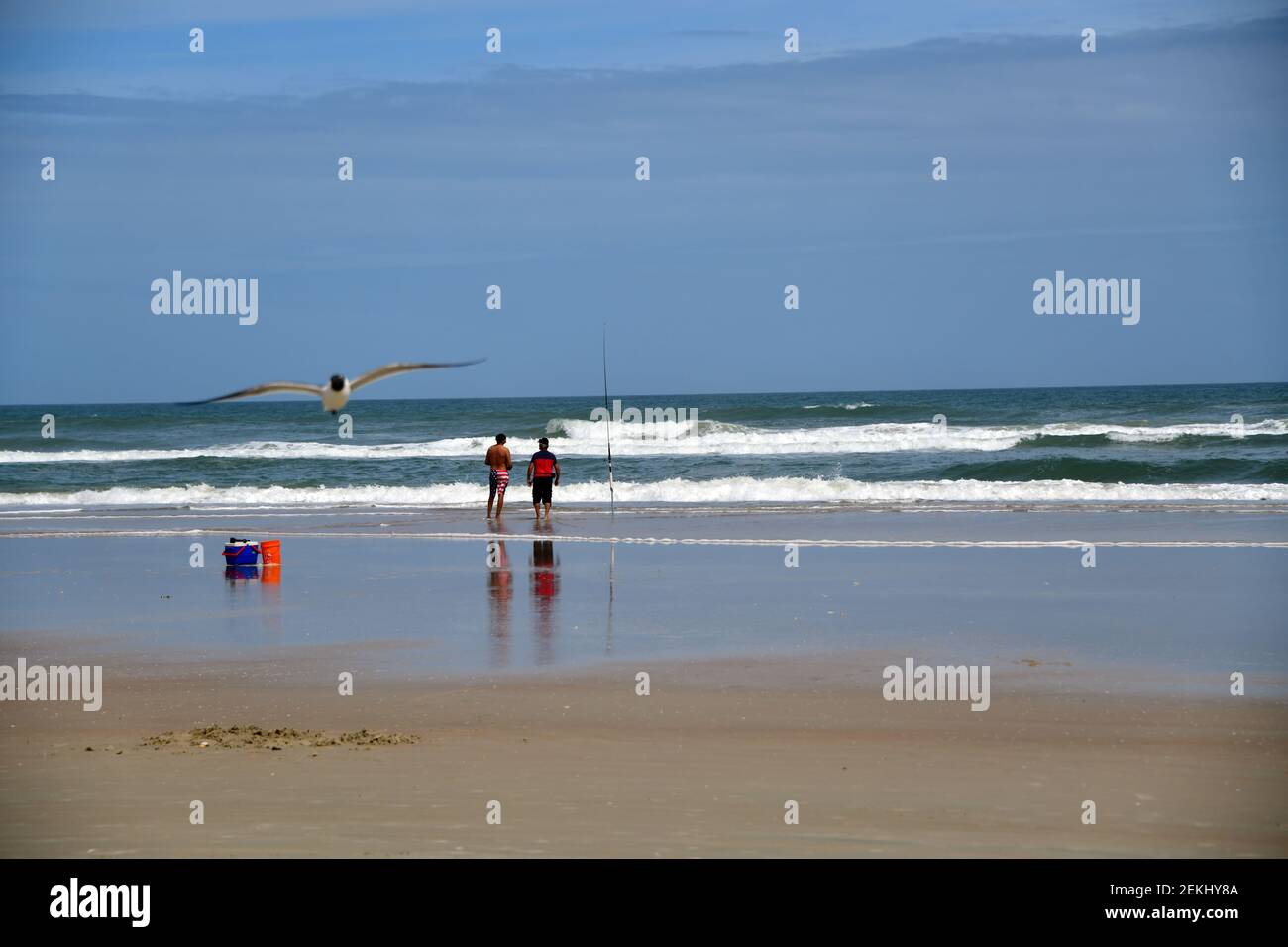 Due uomini surf pesca al tlantic oceano con un uccello fotobombare la scena Foto Stock