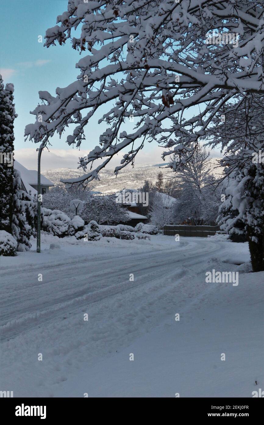 Strada di Snowy Foto Stock