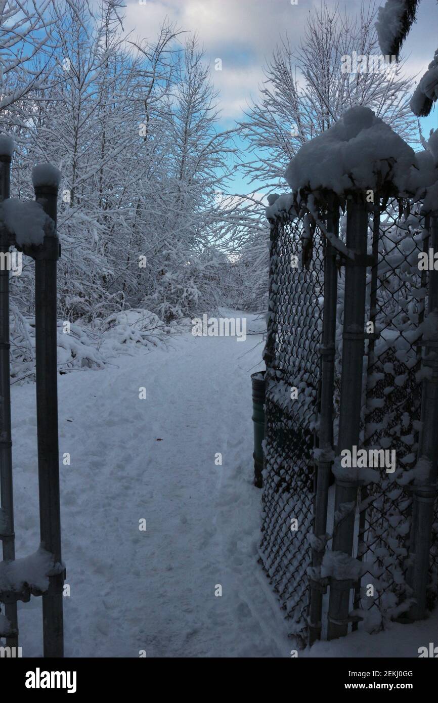 Porta ad un percorso innevato Foto Stock