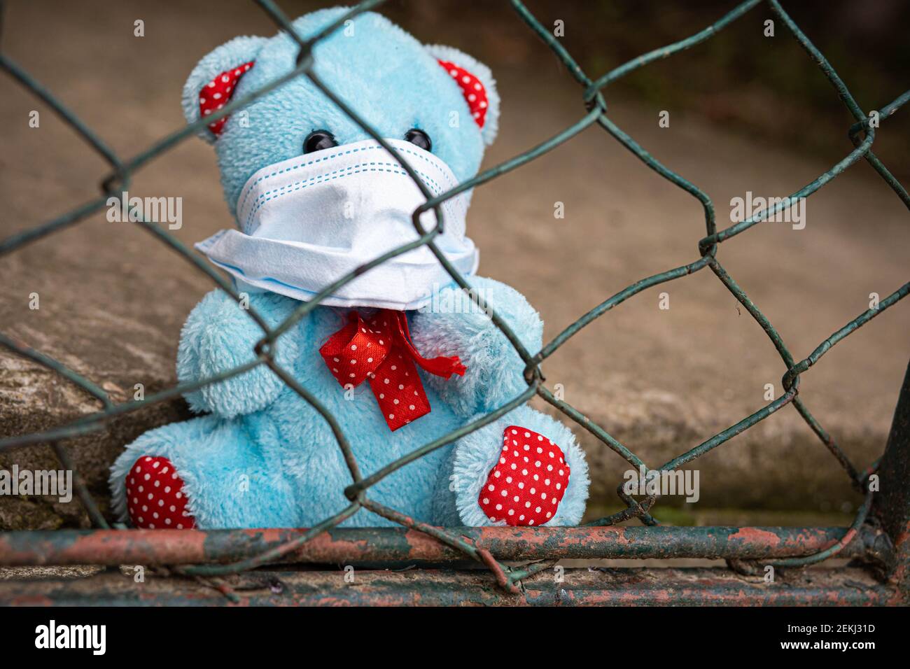 Orsacchiotto blu con una maschera medica dietro il filo Foto Stock