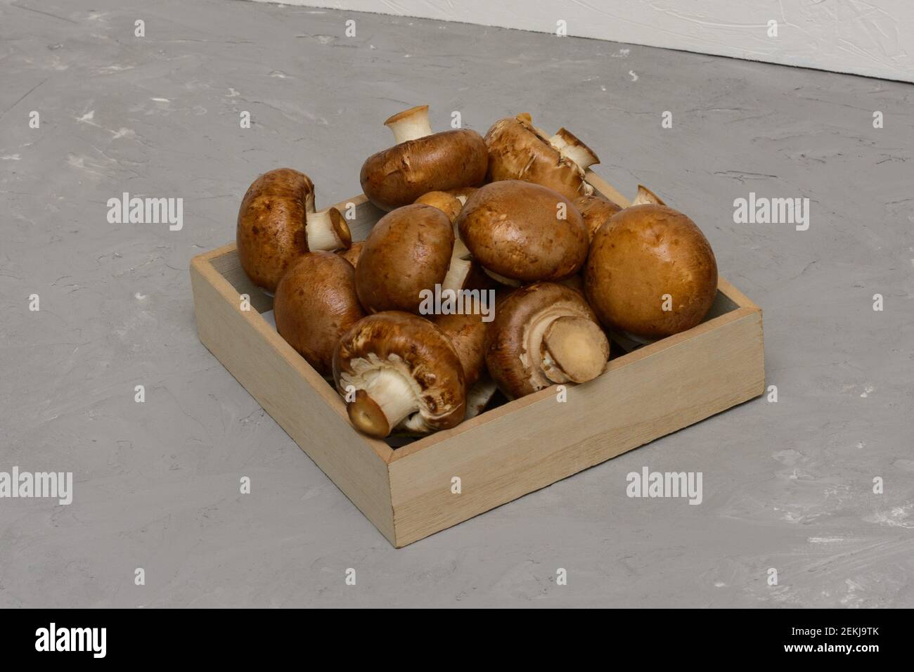 Camponcini bruni reali - Agaricus bisporus. Funghi freschi in scatola di legno su fondo grigio cemento. Foto Stock