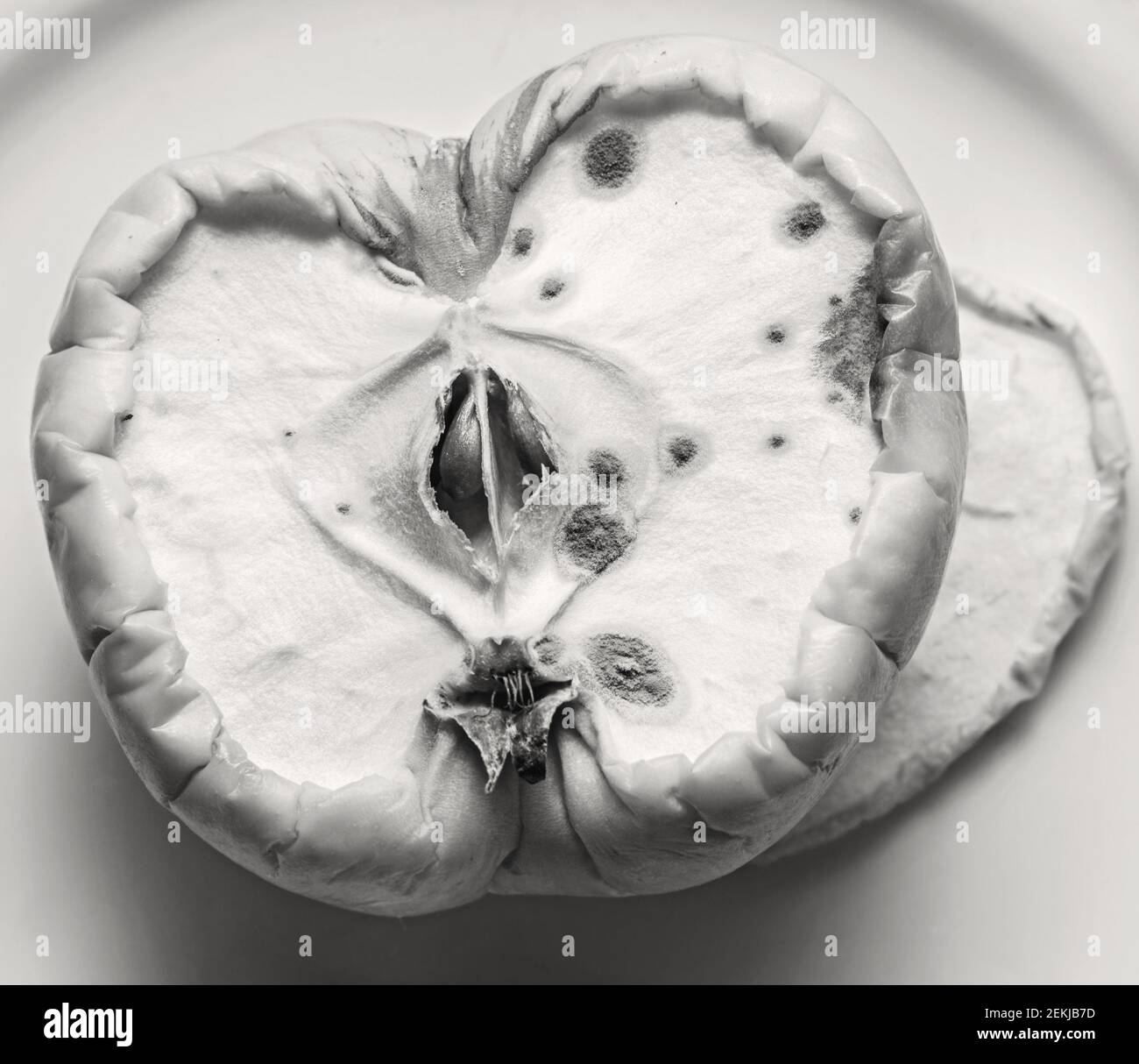 La metà reale della mela con le macchie belle di muffa come simbolo del tempo in bianco e nero Foto Stock