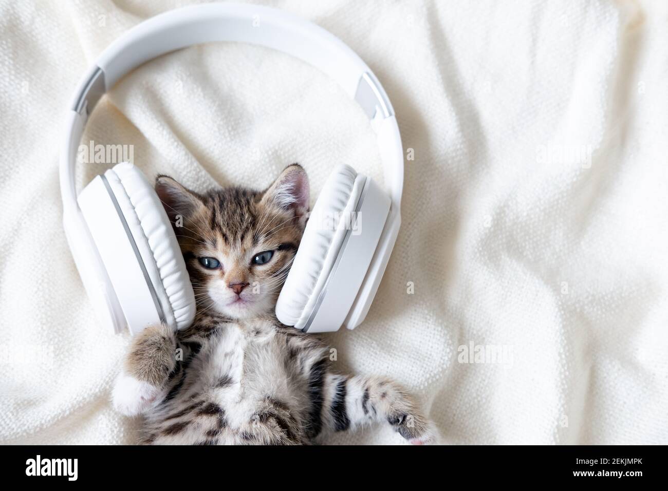 Carino Cat Kitten a righe che ascolta la musica in cuffie su un letto  bianco. Concetto musicale di animali domestici Foto stock - Alamy