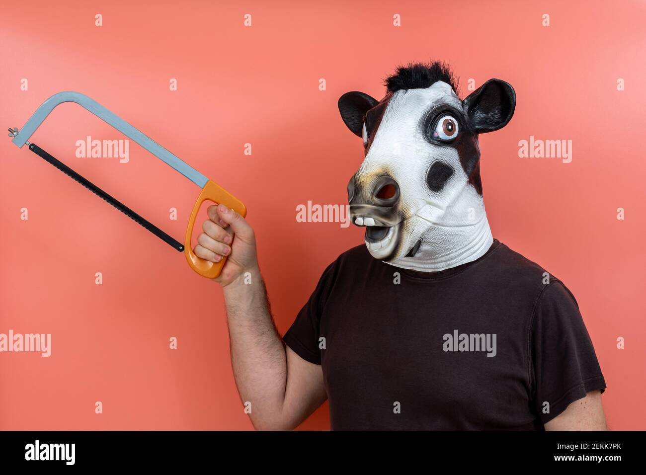 persona in costume con una maschera di testa di vacca che tiene una sega  con sfondo rosa Foto stock - Alamy