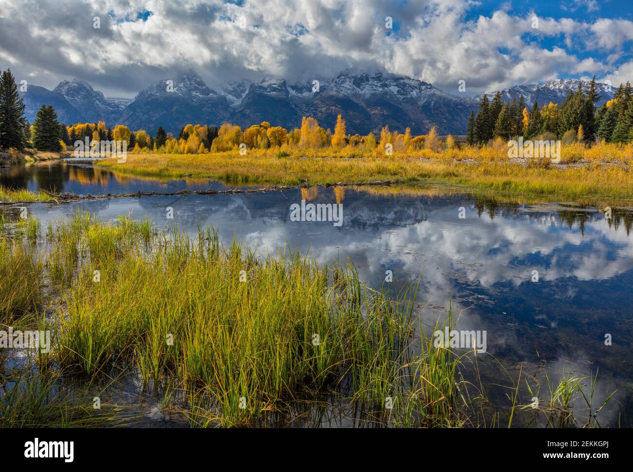 Grand Teton National Park, WY: Erbe sulla costa del fiume Snake con riflessi di colori autunnali e nuvole coperta Teton Range. Foto Stock