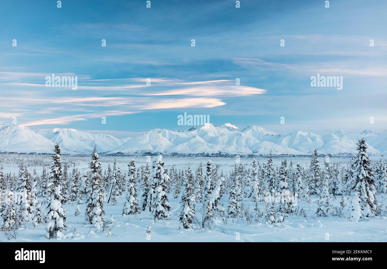 Luce al tramonto sulle montagne Chugach al Passo Tahneta nell'Alaska centro-meridionale. Foto Stock